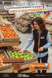 Catálogo Supermercados Lupa Página 16
