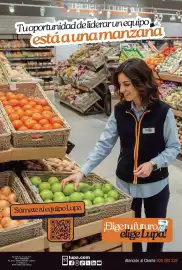 Catálogo Supermercados Lupa Página 16