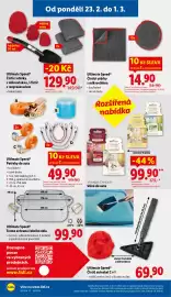 Lidl leták týden 9 Strana 13