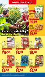 Lidl leták Strana 29