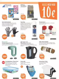 V Markt Prospekt woche 9 Seite 15