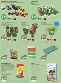 V Markt Prospekt woche 9 Seite 18