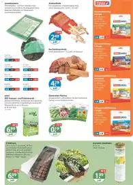 V Markt Prospekt woche 9 Seite 19