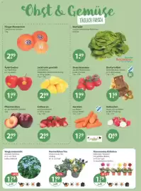 V Markt Prospekt woche 9 Seite 4