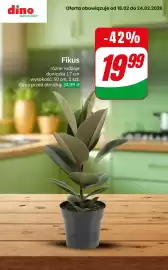 Dino gazetka tydzień 8 Strona 7