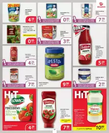 Selgros gazetka Strona 17