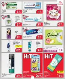 Selgros gazetka Strona 31