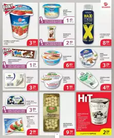 Selgros gazetka Strona 7