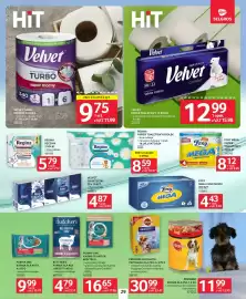 Selgros gazetka Strona 27