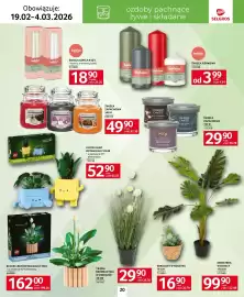 Selgros gazetka Strona 20
