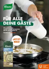 Eurogast Grissemann Flugblatt Seite 17