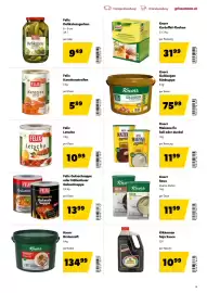 Eurogast Grissemann Flugblatt Seite 19