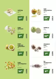 Eurogast Grissemann Flugblatt Seite 2