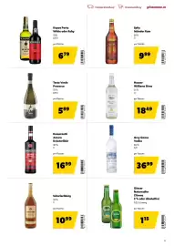 Eurogast Grissemann Flugblatt Seite 25