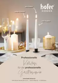 Eurogast Grissemann Flugblatt Seite 26