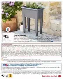 Catalogue Carrefour Market | JARDIN LÀ OÙ LA VIE SE CULTIVE page 2