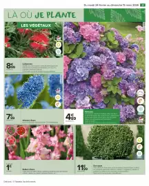 Catalogue Carrefour Market | JARDIN LÀ OÙ LA VIE SE CULTIVE page 5