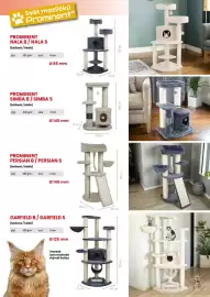 Hecht leták Strana 159