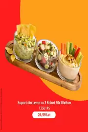 Catalog Jumbo Pagină 3