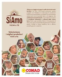 Volantino Conad City settimana 8 Pagina 8