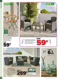 Folleto Carrefour | JARDÍN Página 12