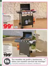 Folleto Carrefour | JARDÍN Página 14