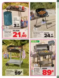 Folleto Carrefour | JARDÍN Página 15