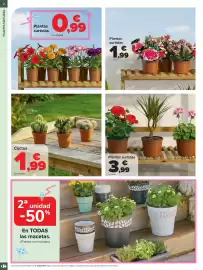 Folleto Carrefour | JARDÍN Página 2