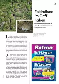 Lagerhaus Flugblatt Seite 31