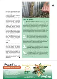 Lagerhaus Flugblatt Seite 33