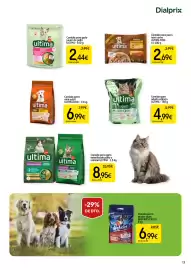 Folleto Dialprix Página 13