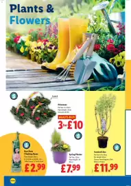 Lidl leaflet week 9 Page 22
