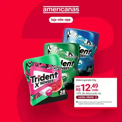 Encarte Lojas Americanas (válido até 22-02)