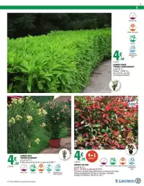 Catalogue E.Leclerc Drive page 5