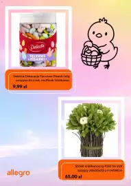 Allegro gazetka Strona 5