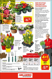 Hellweg Prospekt woche 9 Seite 16