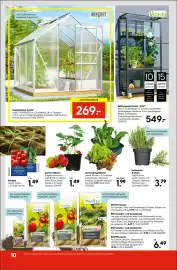 Hellweg Prospekt woche 9 Seite 14