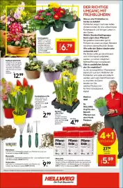 Hellweg Prospekt woche 9 Seite 16