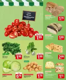 Famila Nord Ost Prospekt woche 9 Seite 11