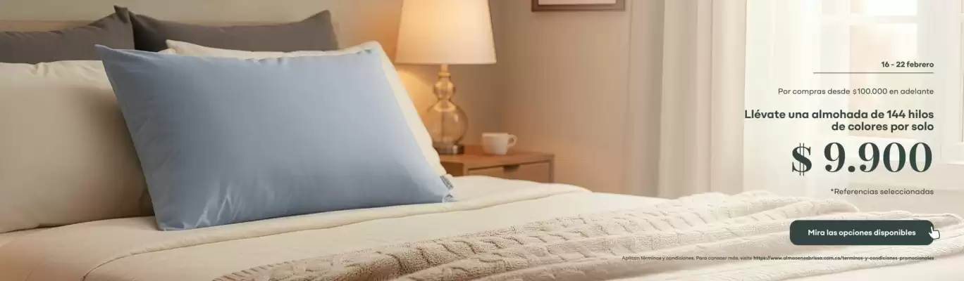 Catálogo Brissa (válido hasta 22-02)