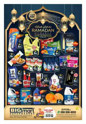 Bigmart leaflet (valid until 22-02)