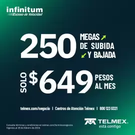 Catálogo Telmex Página 4