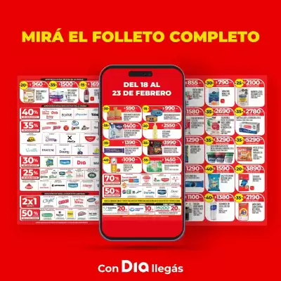 Folleto Supermercados DIA (válido hasta 23-02)