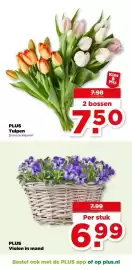 PLUS folder week 9 Pagina 17