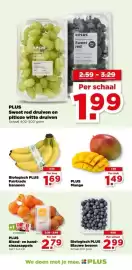 PLUS folder week 9 Pagina 20