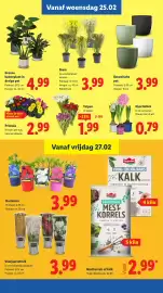 Lidl folder week 9 Pagina 17