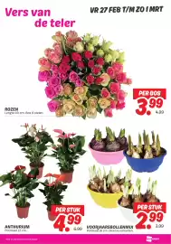 Dekamarkt folder week 9 Pagina 26