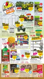 Wiglo Wunderland Prospekt woche 9 Seite 1