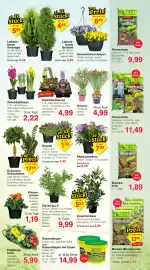 Wiglo Wunderland Prospekt woche 9 Seite 4