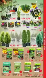 Wiglo Wunderland Prospekt woche 9 Seite 5